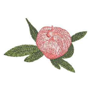 Matriz de bordado floral 565