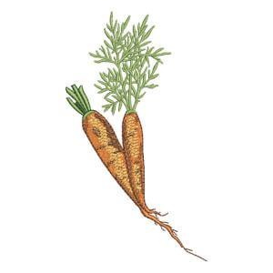 Carrots Embroidery Design