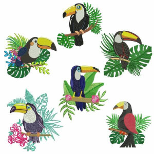 Realistic toucan Embroidery Design Pack