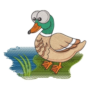 Pato da Fazenda