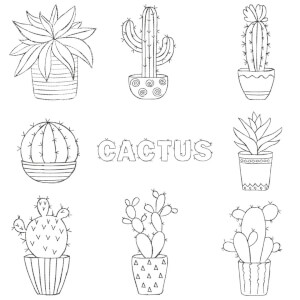 Cactus Embroidery Design Pack