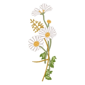 Flower Chamomile Embroidery Design