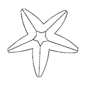 Starfish Embroidery Design