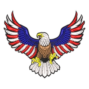 American Eagle Embroidery Design