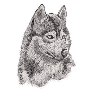 Husky Dog (Realistic) Embroidery Design