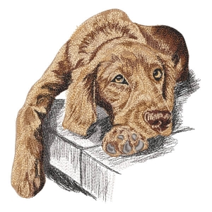 Puppy Dog (Realistic) Embroidery Design