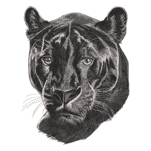 Black Panter (Realistic) Embroidery Design