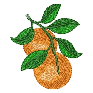 Oranges Embroidery Design