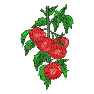 Tomatoes Embroidery Design
