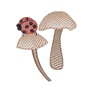 Cogumelos e Joaninha