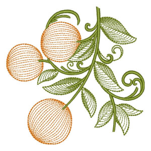 Oranges (Rippled) Embroidery Design