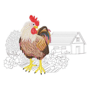 Rooster in Farm Embroidery Design