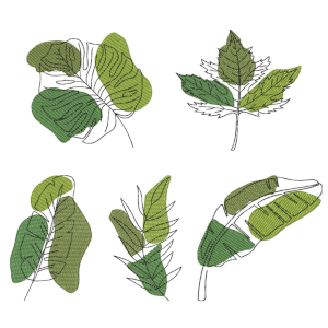 Minimalist Boho Leaves Design Pack
