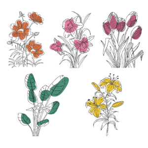 Minimalist Boho Florals Design Pack