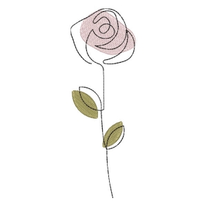 Rosa em Contorno