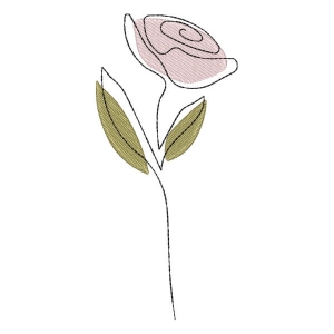 Rosa em Contorno