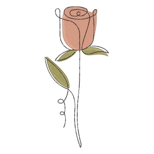 Rosa em Contorno