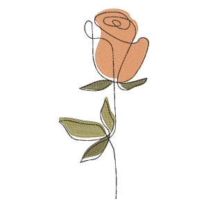 Rosa em Contorno