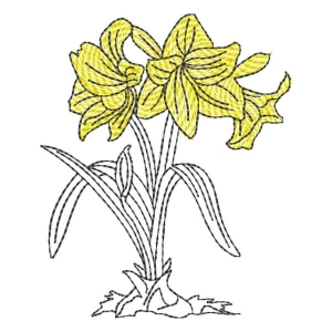 Flores em Contorno (Pontos Leves)