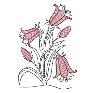 Flores em Contorno (Pontos Leves)