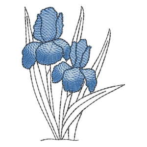 Flores em Contorno (Pontos Leves)