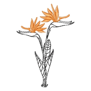 Flores em Contorno (Pontos Leves)