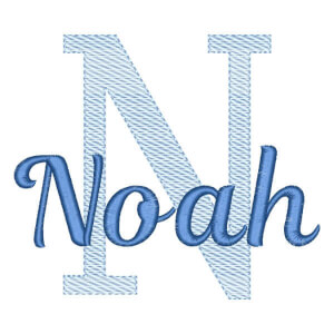 Alfabeto com Nome Letra N