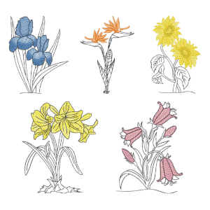  Flores em Contorno (Pontos Leves)