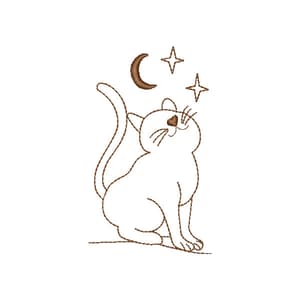 Gatinho Olhando pras Estrelas em Contorno