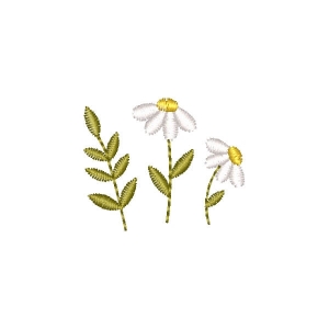 Flor