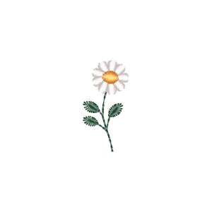 Florzinha Margarida