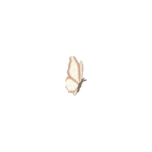 Borboleta