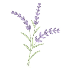 Ramo de lavanda