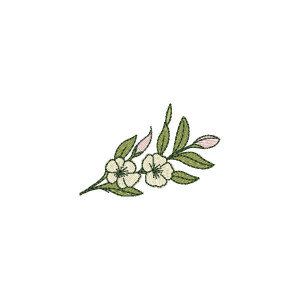 Raminho de Flores