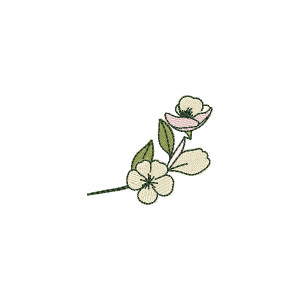 Raminho de Flores