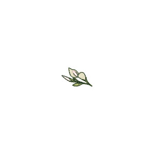 Raminho de Flores