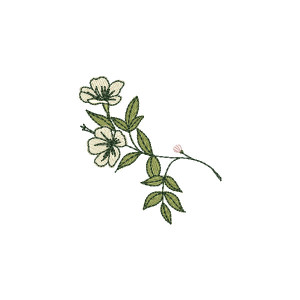 Raminho de Flores