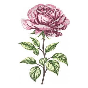 Rose (Realistic) Embroidery Design