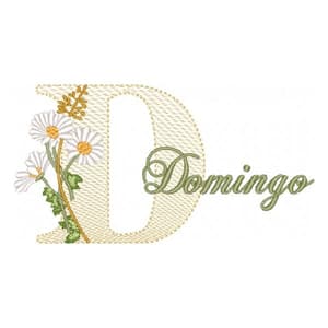 Matriz de bordado Semaninha Domingo