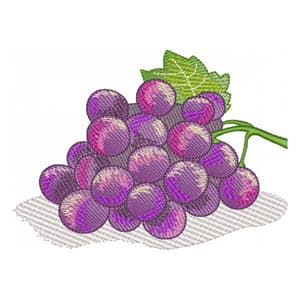 Grape Fruit Embroidery Design