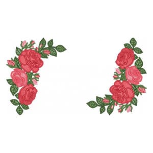 Rosas (Pontos Leves)