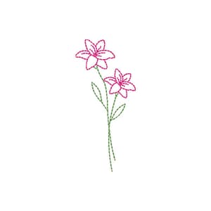 Flor Contorno Delicada