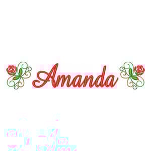 Matriz de bordado Floral ponto corrido com rosas e nome