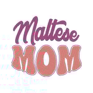 Pet Mãe Maltês
