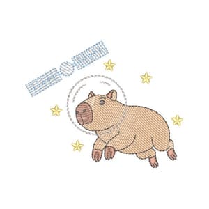 Capivara navegante cosmica (Pontos Leves)