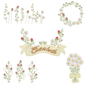 Botões e flores 