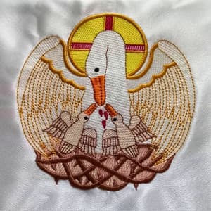 Pelicano