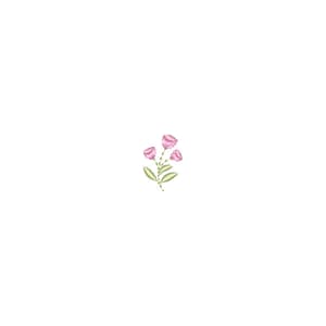 Mini Flor Delicada