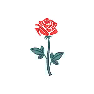  Rosa