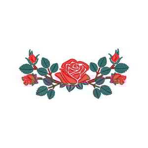  Rosa